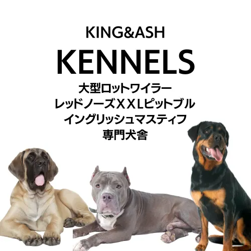 KING&ASH</br>KENNELS